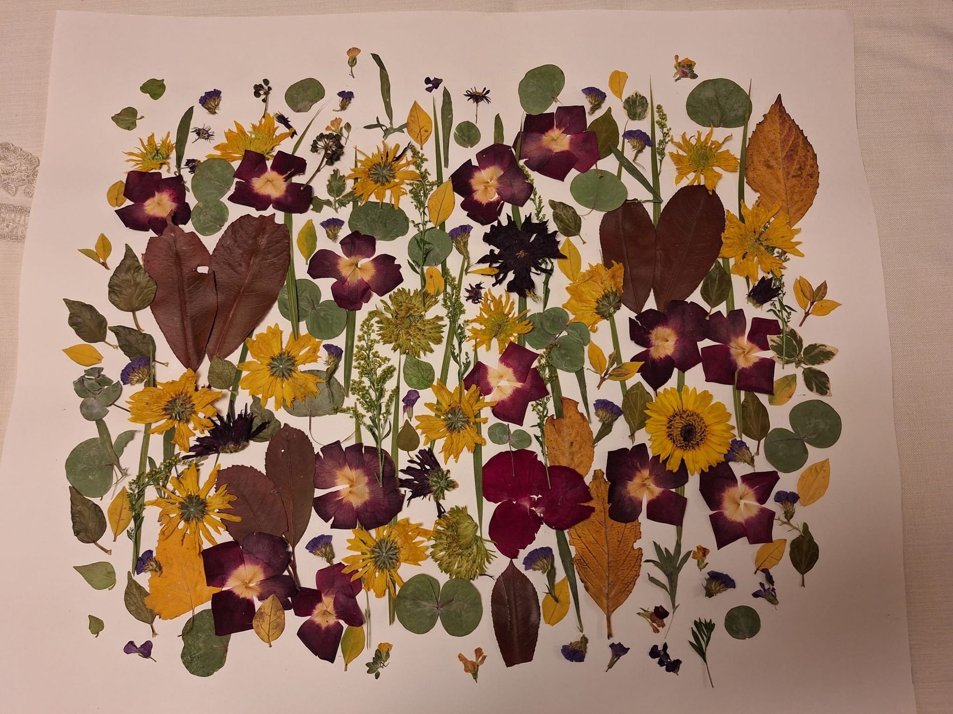 When you walk with me 